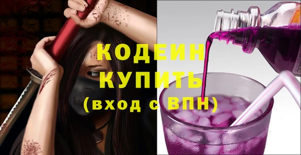 прущие крисы Бородино