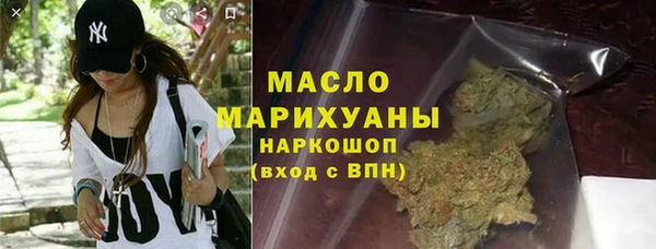 молекула духа Богородицк