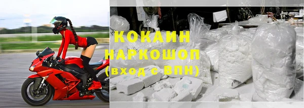 прущие крисы Бородино