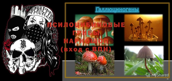 прущие крисы Бородино